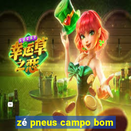 zé pneus campo bom