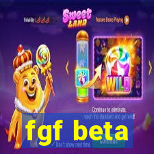 fgf beta