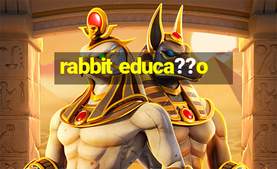 rabbit educa??o