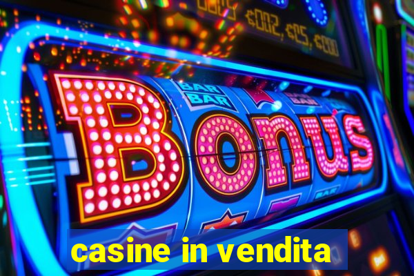 casine in vendita