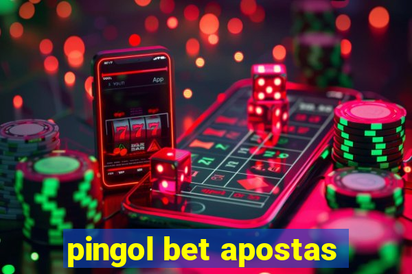 pingol bet apostas