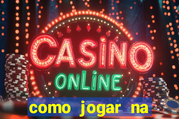 como jogar na loteria gringa online