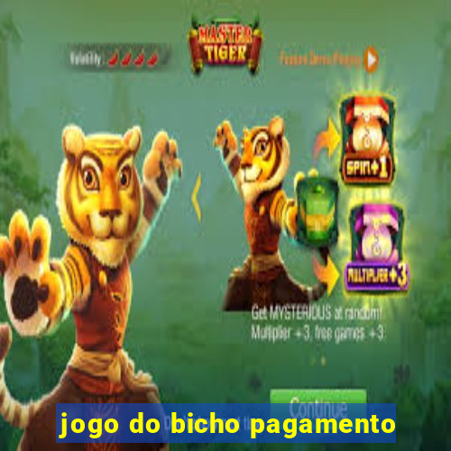 jogo do bicho pagamento