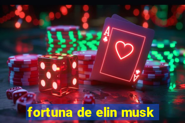 fortuna de elin musk