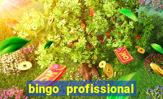 bingo profissional n 3