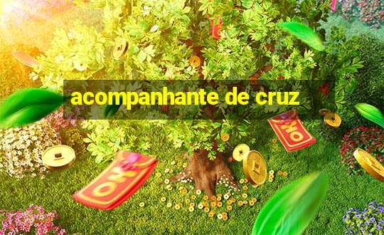 acompanhante de cruz