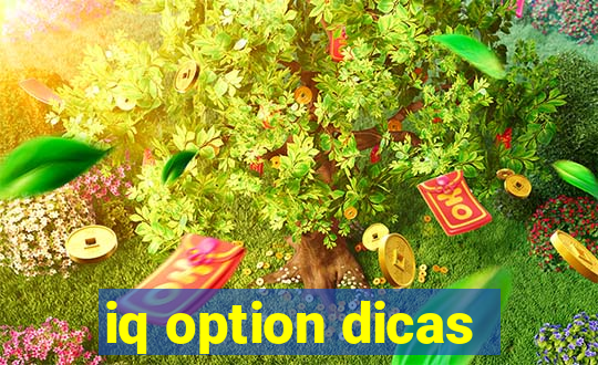 iq option dicas