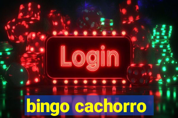 bingo cachorro