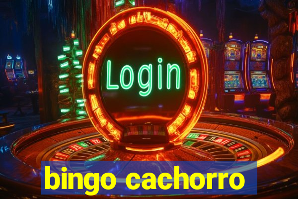 bingo cachorro