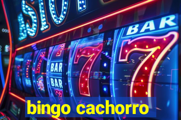 bingo cachorro