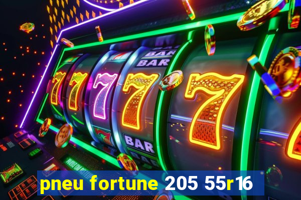 pneu fortune 205 55r16