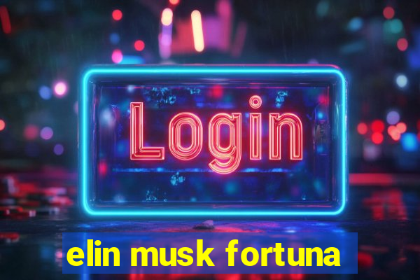 elin musk fortuna