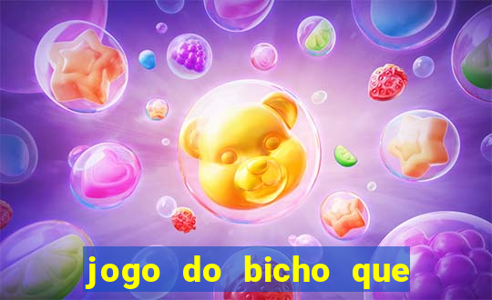 jogo do bicho que da dinheiro