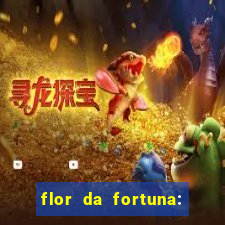 flor da fortuna: como cuidar