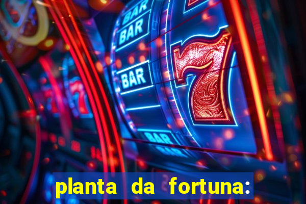 planta da fortuna: como cuidar