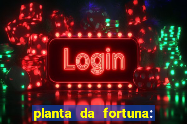 planta da fortuna: como cuidar