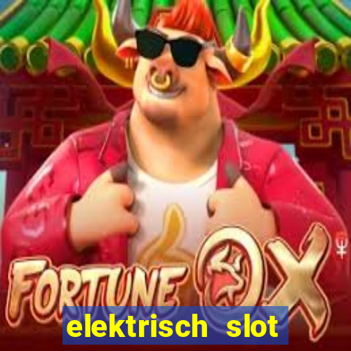 elektrisch slot houten poort