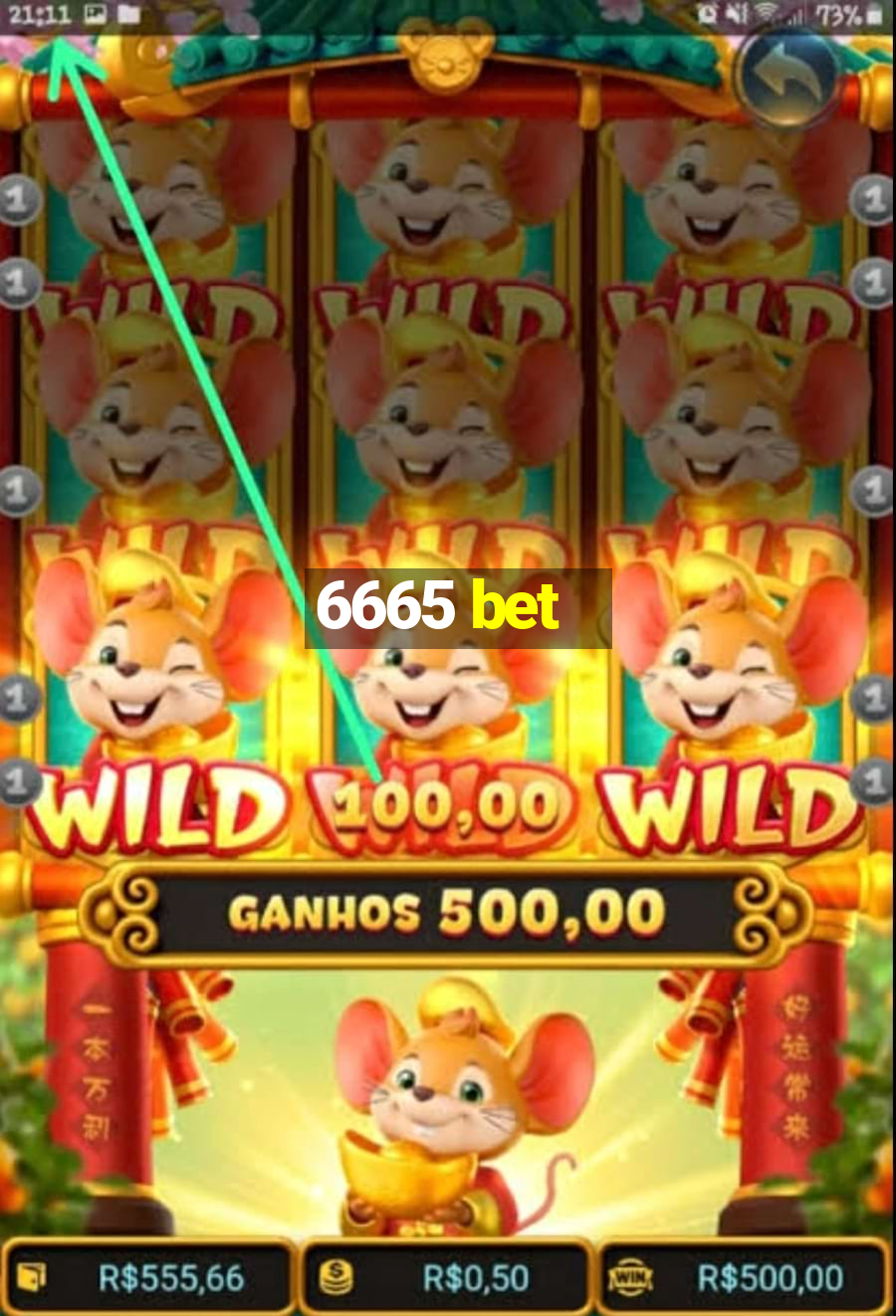 6665 bet