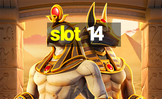 slot 14