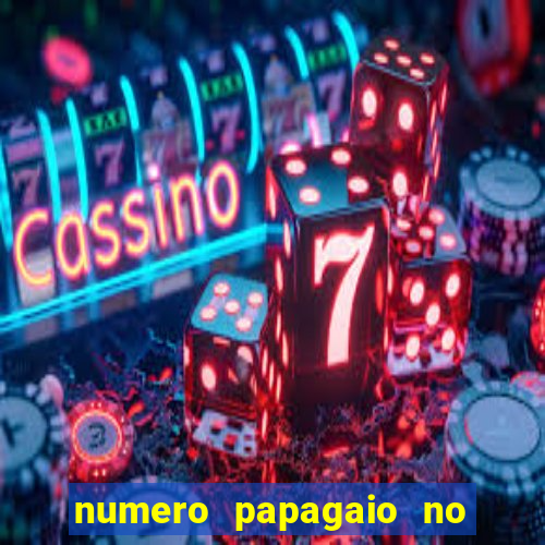 numero papagaio no jogo do bicho