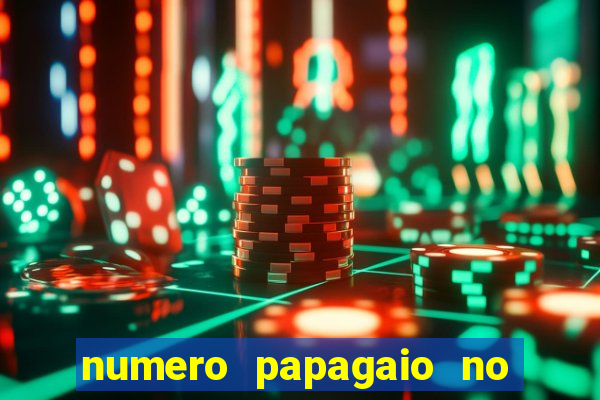 numero papagaio no jogo do bicho