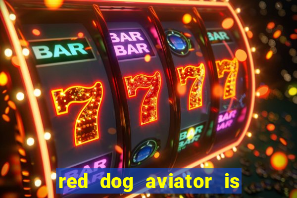 red dog aviator is real or fake