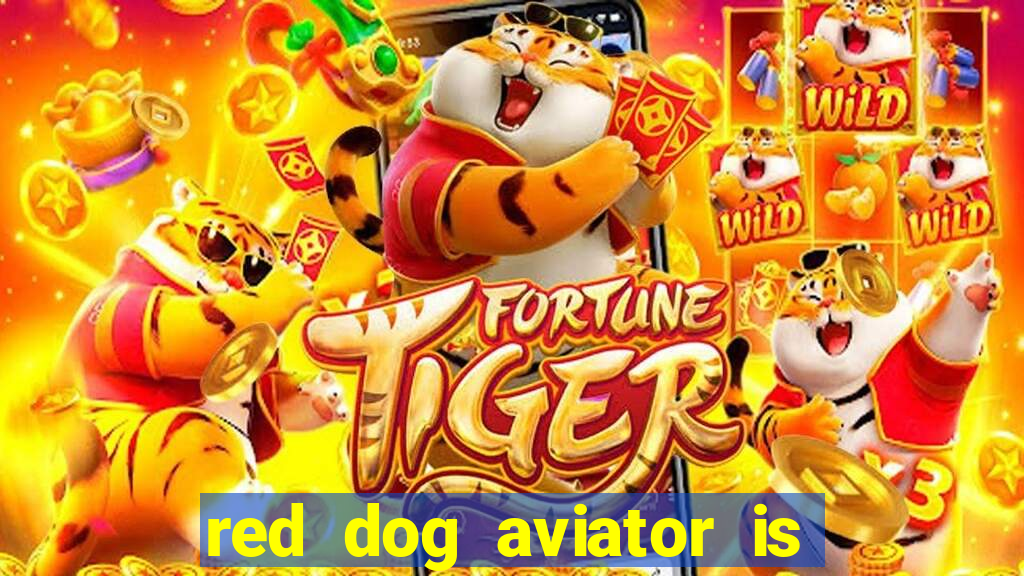 red dog aviator is real or fake