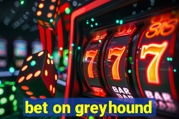 bet on greyhound