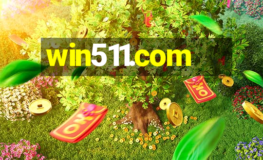 win511.com