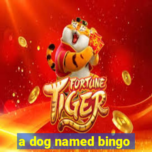 a dog named bingo