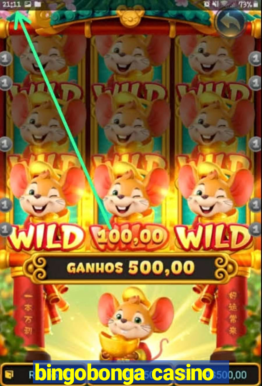 bingobonga casino