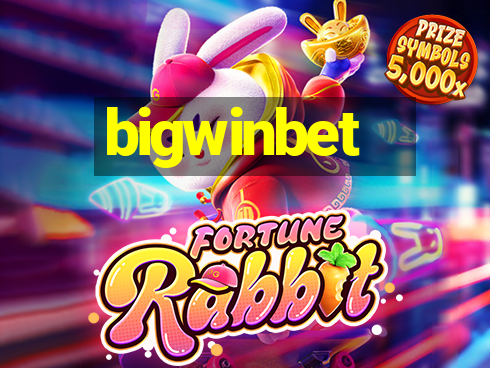 bigwinbet