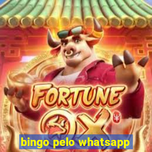 bingo pelo whatsapp