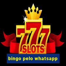 bingo pelo whatsapp