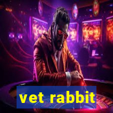 vet rabbit