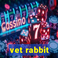 vet rabbit