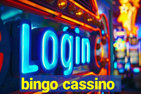 bingo cassino