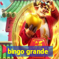 bingo grande