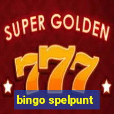 bingo spelpunt