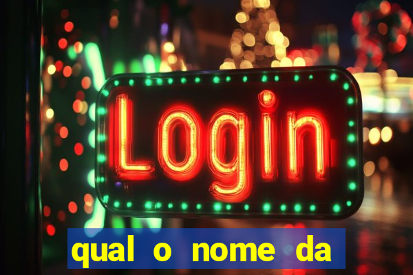 qual o nome da casinha do pinguim