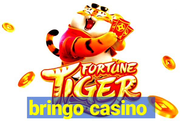 bringo casino