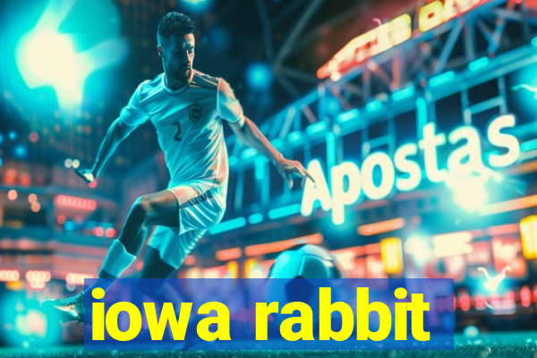 iowa rabbit