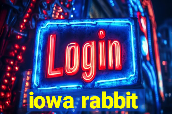 iowa rabbit