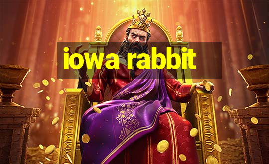 iowa rabbit