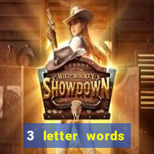 3 letter words from casino