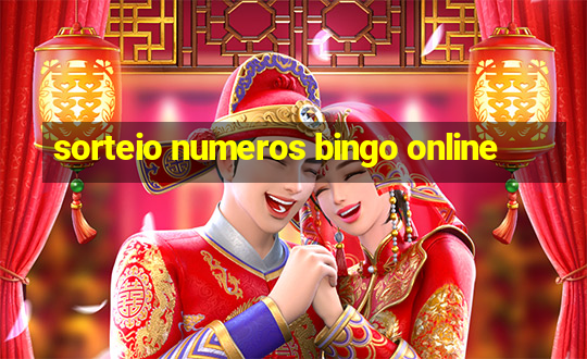 sorteio numeros bingo online