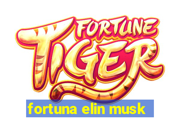 fortuna elin musk