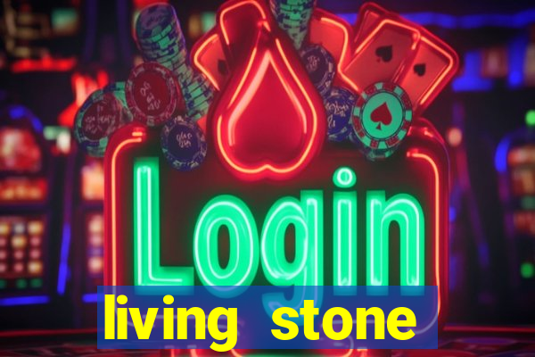 living stone network tv