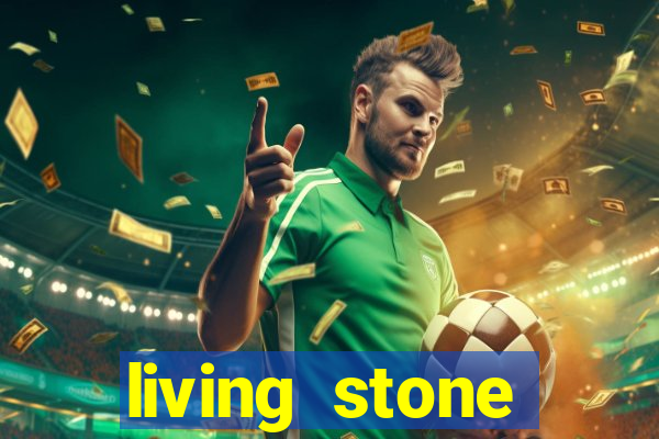 living stone network tv