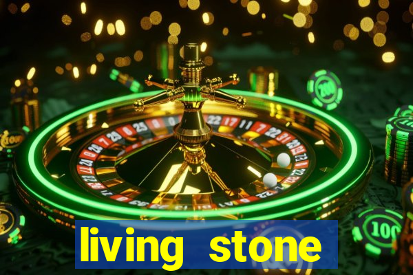 living stone network tv